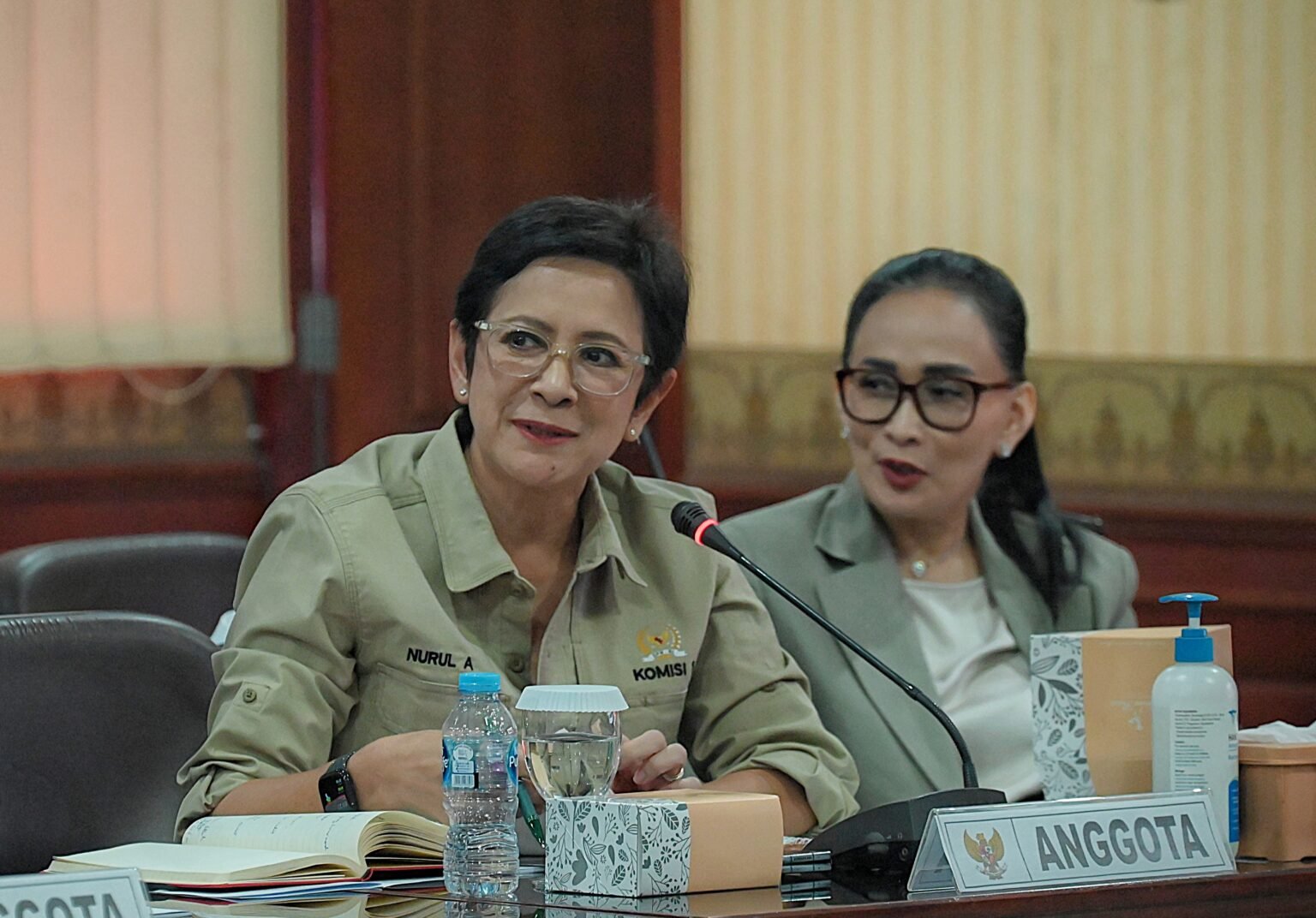 Nurul Arifin: Putusan MK Jangan Jadi Celah Kriminalisasi Pers