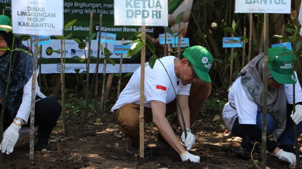 Aksi Nyata Senator DIY Tanam Mangrove dan Bersihkan Pantai Demi Lestarikan Wilayah Pesisir