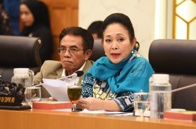 Komisi IV DPR Minta Antisipasi dan Mitigasi Hadapi El-Nino