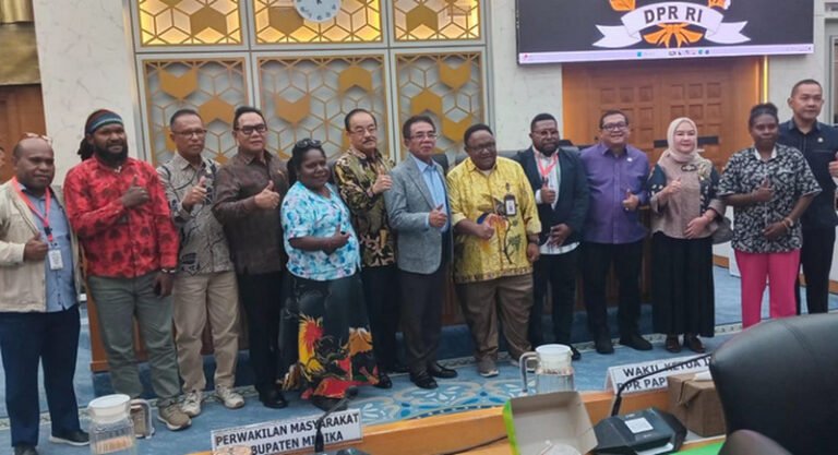 Komisi IV DPR Sepakat Bentuk Tim Khusus Investigasi Tailing Freeport di Timika