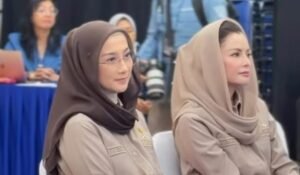Desy Ratnasari Dorong Pemerintah Perkuat Akses Layanan Kesehatan di Daerah