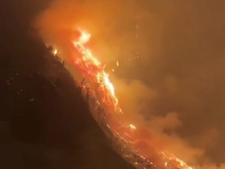 Kebakaran Di Bromo Meluas,Wisata Ditutup Total