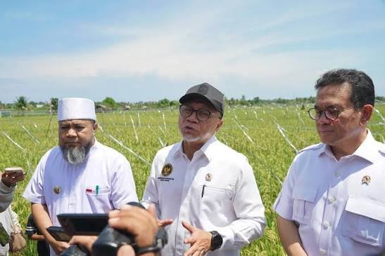 Pemerintah Siapkan Bantuan Pangan Dan Beras Subsidi Hadapi Kemarau