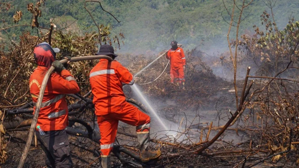 BNPB Prioritaskan 5 Provinsi Karhutla Yang Meluas