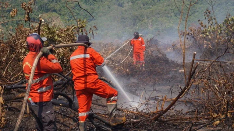 BNPB Prioritaskan 5 Provinsi Karhutla Yang Meluas