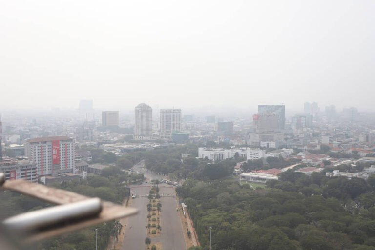 Asap Karhutla Masuk Jakarta, Wagub DKI : Tidak Boleh Panik